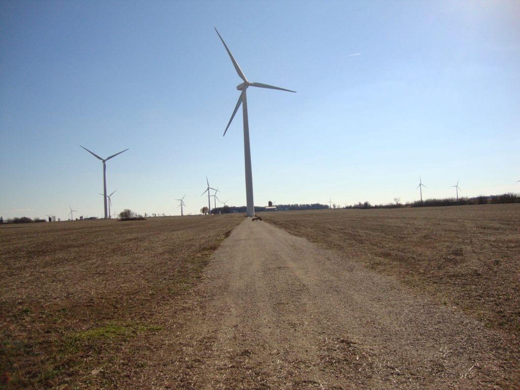 Driveway and wind turbines 